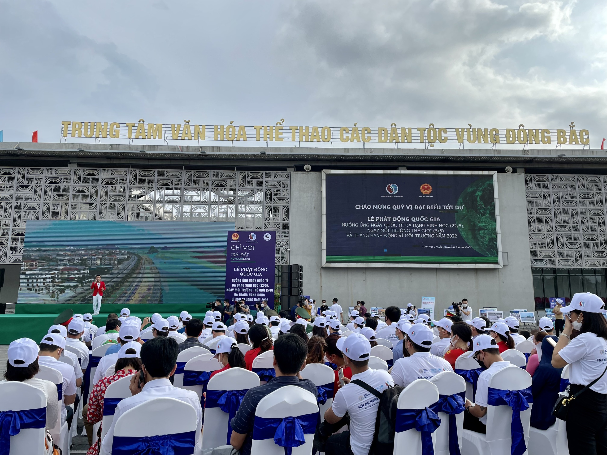 Không có ảnh